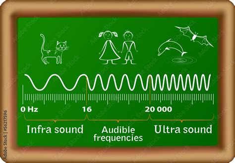 The sound waves vector diagram Stock Vector | Adobe Stock