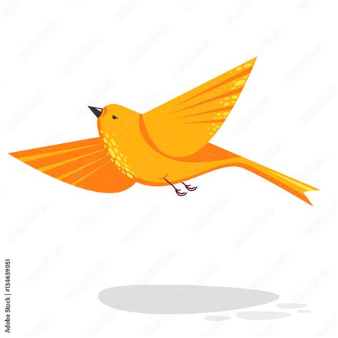 Flying Bird Illustration Vector