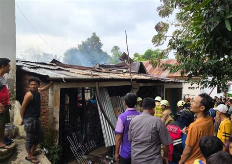 Diduga Korsleting Listrik Bedengan 5 Pintu Di Kandang Limun Hangus