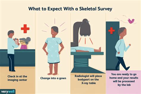 Bone Osseous Survey