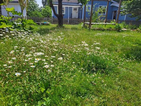 Jadermarkska Trädgården Riksförbundet Svensk Trädgård