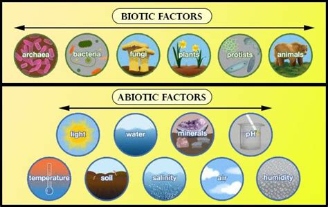 10 Biotic Factors