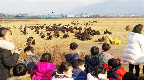 고성군 생태테마관광 육성사업 대상지 선정 경남연합일보