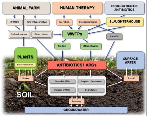 Frontiers Antibiotics In The Soil EnvironmentDegradation And Their