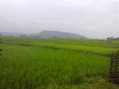 Ghatsila Tour And Travel Best Time Budget Hotels And Resorts Tourist