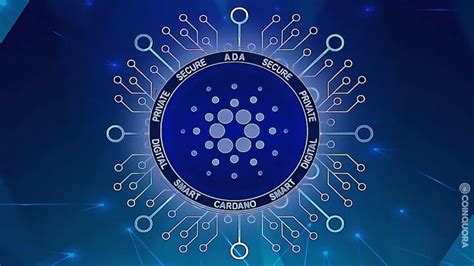 Cardano S TVL Hits 10 Month High What Investors Need To Know