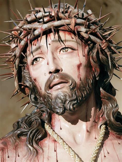 Despojado Y Caridad On Fotos De Jesús Rostro De Jesús Y Crucifixión