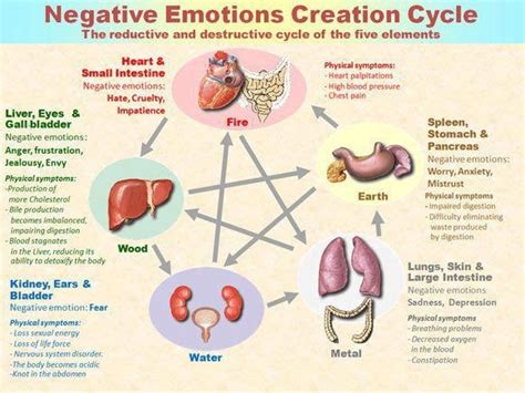 Our Journey Of Completion Body Heart Soul NEGATIVE EMOTIONS CREATION CYCLE