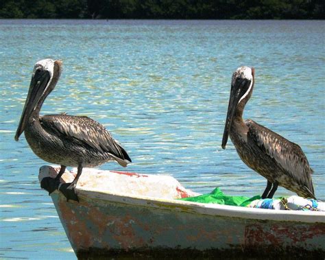 Rundreise Höhepunkte Yucatan mit Calakmul ab 1458 SunTrips