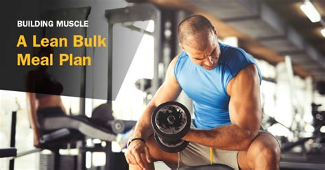 Bulking Workout And Meal Plan Eoua Blog