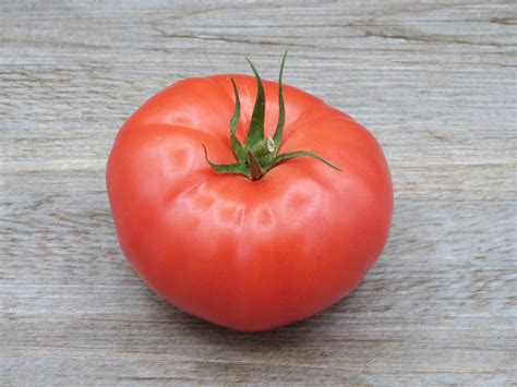 Tomate à farcir Noah Primeurs