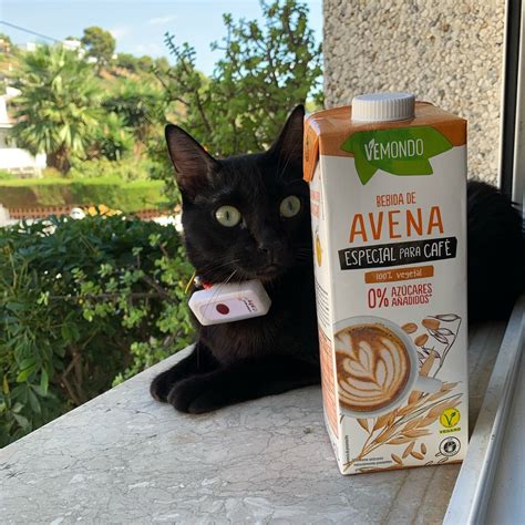 Vemondo Bebida De Avena Especial Cafe Reviews Abillion