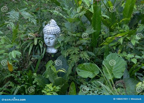 stone statue head   middle   forest sitting   green