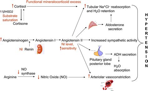 Cushing’s Syndrome All Variants Detection And Treatment Endocrinology And Metabolism Clinics