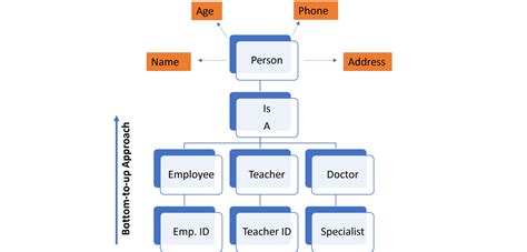 Generalization And Specialization In Dbms Codingstreets