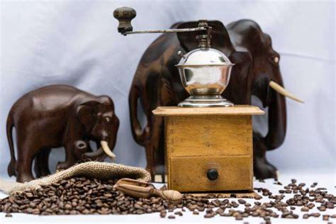 Coffee Grinder Wooden Spoon Roasted Coffee Beans And Elephants Coffee