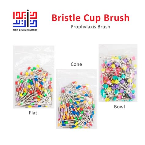 Zzi Bristle Cup Brush Prophylaxis Brush 12 Pcs 100 Pcs Zzi Dental