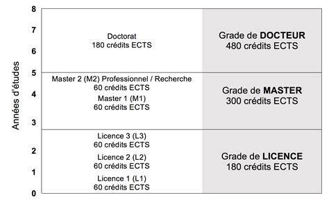 Organisation des études en France Université Paris Panthéon Assas