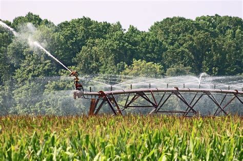 Acqua l agricoltura non è il problema Rinnovabili