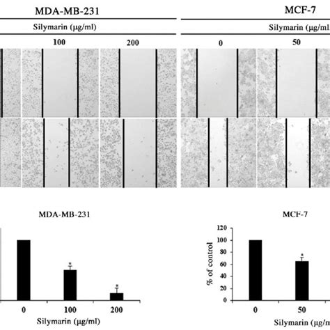 Effects Of Silymarin On The Expression Levels Of Apoptosis Related