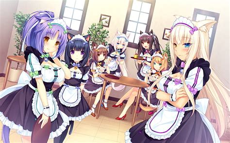 Nekopara 1080p 2k 4k 5k Hd Wallpapers Free Download Wallpaper Flare