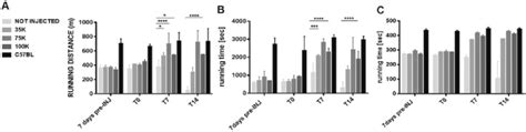 Muscle Functional Tests Mice Endurance Was Evaluated By Treadmill Test