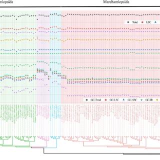 insights   phylogeny   complex thalloid
