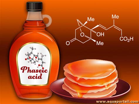 Acide phaséique définition et explications