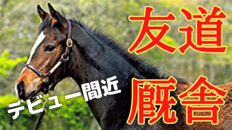 これからデビューする友道厩舎の期待の2歳馬を3頭紹介 現時点では勝ち上がりは2頭だけ Youtube