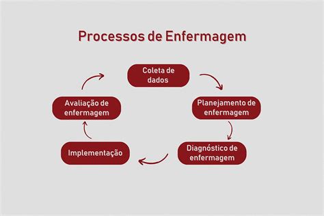 Entenda As Fases Do Processo De Enfermagem Enfermagem You