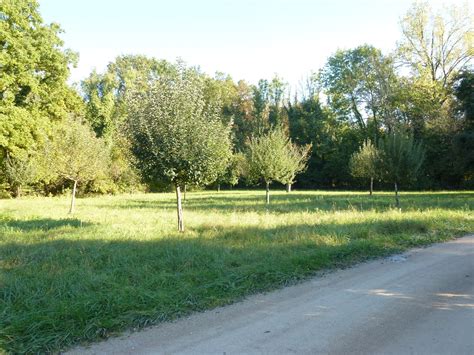 Biotope And Geotope In Grand Est Outdooractive