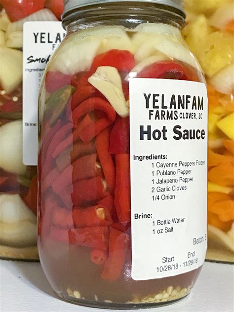 Homemade Classic Hot Sauce Ferment Started R Spicy