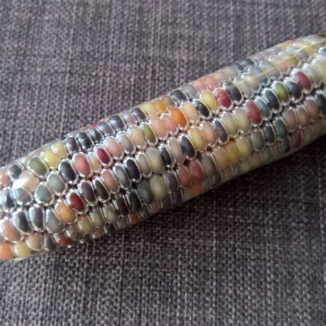 Corn Dildo Etsy