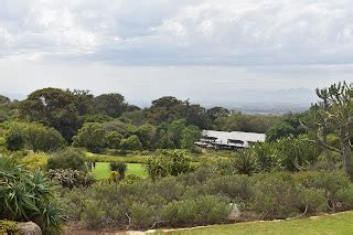 Kirstenbosch N Rodn Botanick Zahrada