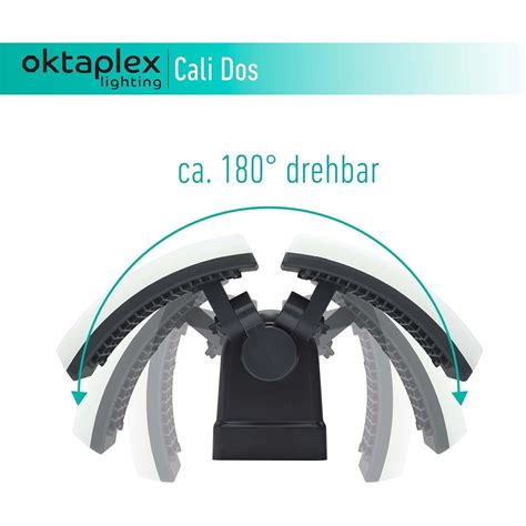 Oktaplex LED Außenstrahler Cali Dos 2 Leuchtkörper IP65 Warmweiß 3200lm