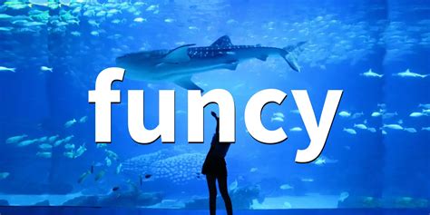 funcy 2.0 - A fancy and practical functional tools - PythonFix.com