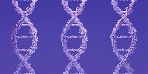 Fascinating Fun Facts About Dna You May Not Know Alphabiolabs Usa