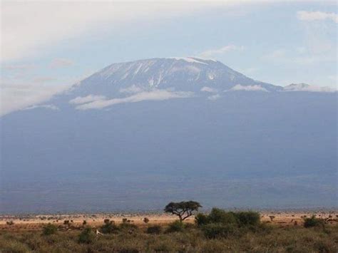 2 Day Amboseli National Park Safari From Mombasa