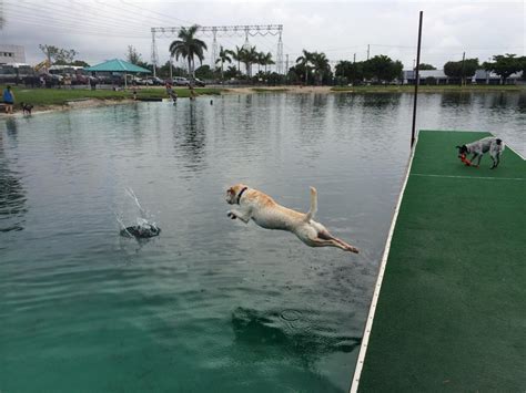 The Most Popular Dog Parks Near North Miami Beach