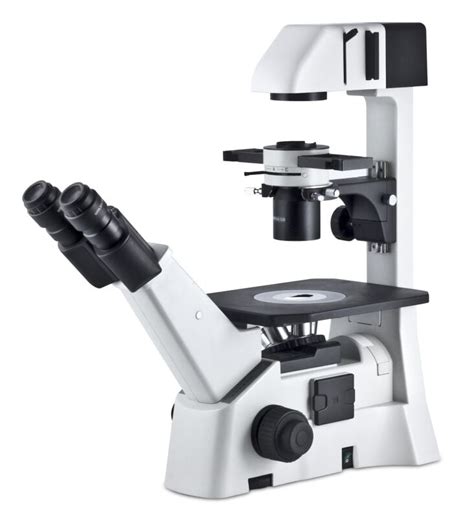 Ae31 Elite Inverted Phase Contrast Microscope By Motic