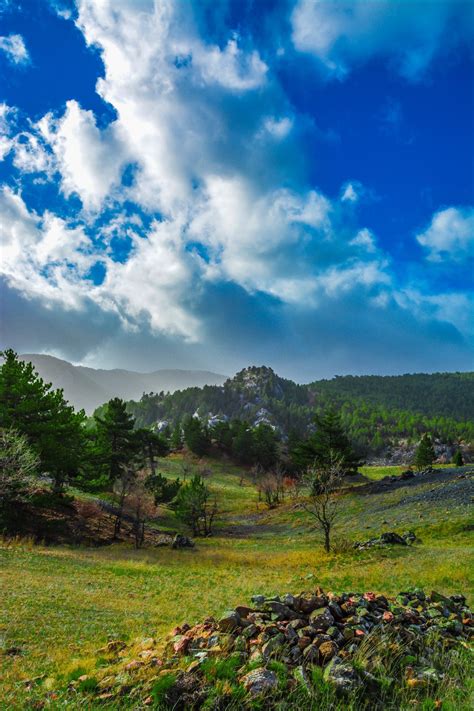 Fotoğraf peyzaj ağaç doğa çimen ufuk dağ bulut gökyüzü çayır