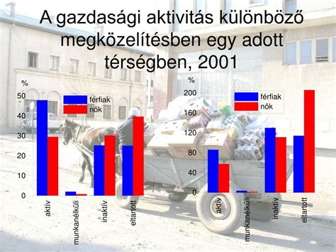 PPT Gazdasági aktivitás foglalkozási szerkezet PowerPoint