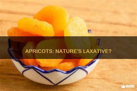 Apricots Natures Laxative Medshun