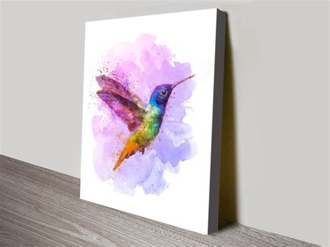 Buy A Watercolour Hummingbird Canvas Print Evandale Adelaide Australia