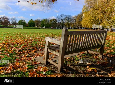 Empty Wooden Bench In Hilly Fields In Brockley London At Fall With