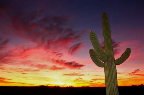 November Sunsets - Saguaro Buttes Tucson