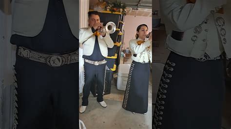 Hire Mariachi Mexico Lindo De California Mariachi Band In West Covina