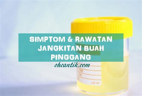 Jangkitan Buah Pinggang Simptom Dan Rawatan Ohcantik