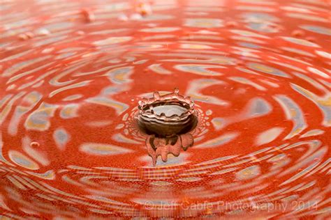 Jeff Cable's Blog: Photographing water drops: This is really fun, and ...