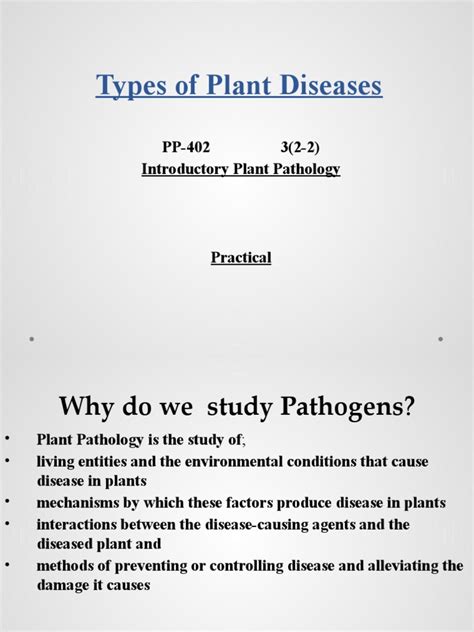 Types of Plant Diseases | PDF | Plant Pathology | Pathogen 